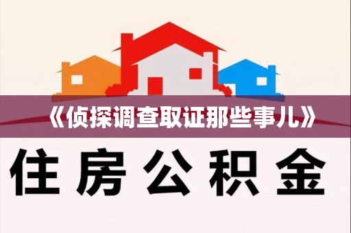 绩溪《侦探调查取证那些事儿》