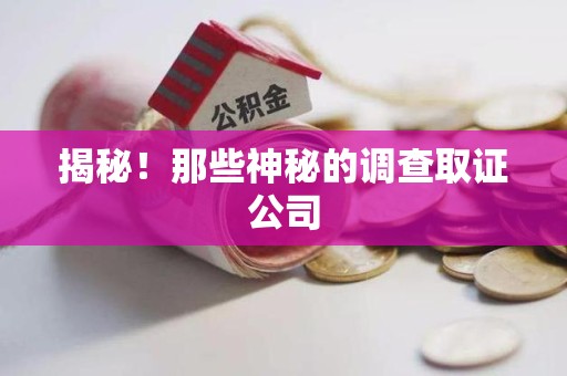 绩溪揭秘！那些神秘的调查取证公司