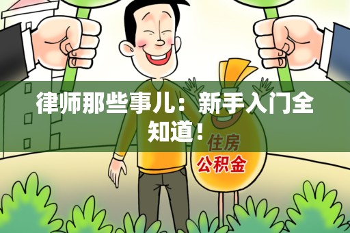 绩溪律师那些事儿：新手入门全知道！