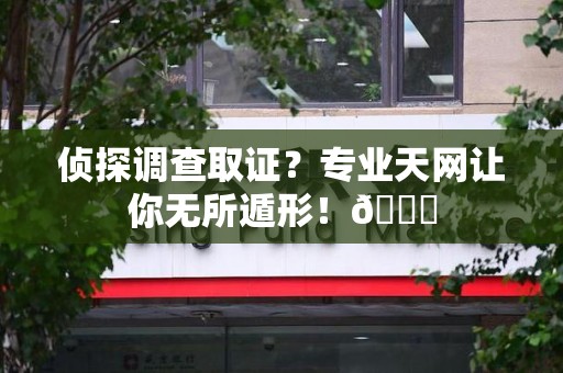 绩溪侦探调查取证？专业天网让你无所遁形！😎