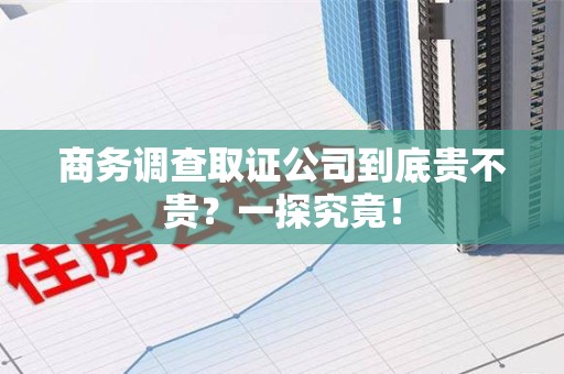 绩溪商务调查取证公司到底贵不贵？一探究竟！