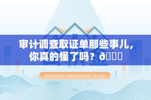 绩溪审计调查取证单那些事儿，你真的懂了吗？😎